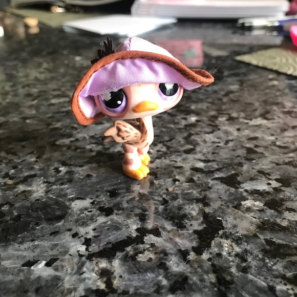Littlest Pet Shops! - Picture 12 of 16